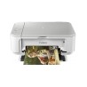 Multifonction Jet Canon Pixma MG2550S
