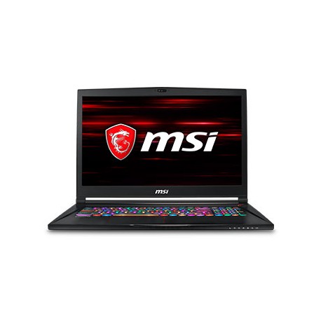 MSI 17.3"FHD i7-8750H AG 16GB 256SSD+1TB GTX1060-6 W10