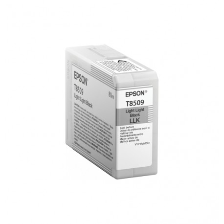 Epson Ink Cart/UltraChromeHD Light Light Black - Epson