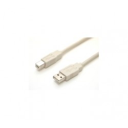 USB cable - 4 pin USB Type A (M) - 4 pin USB Type B (M) - 10 ft - Startech