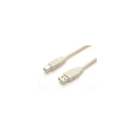 USB cable - 4 pin USB Type A (M) - 4 pin USB Type B (M) - 10 ft - Startech