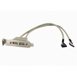 2 PORT USB A FEMALE LOW PROFILE SLOT PLATE ADAPTER UK - Startech