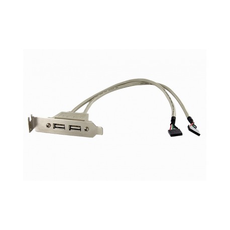 2 PORT USB A FEMALE LOW PROFILE SLOT PLATE ADAPTER UK - Startech